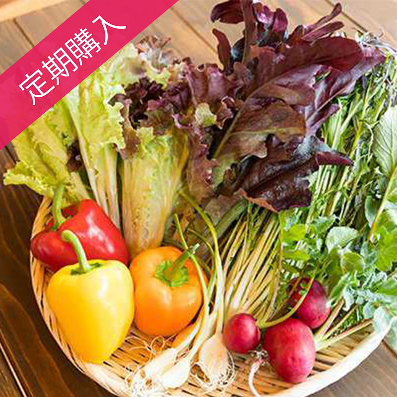 【定期購入】Beee＋野菜ソムリエが選ぶ旬の野菜セット