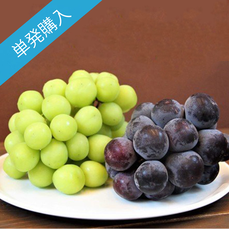 【単発購入】Beee＋野菜ソムリエが選ぶ旬のフルーツセット