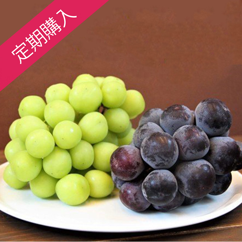 【定期購入】Beee＋野菜ソムリエが選ぶ旬のフルーツセット