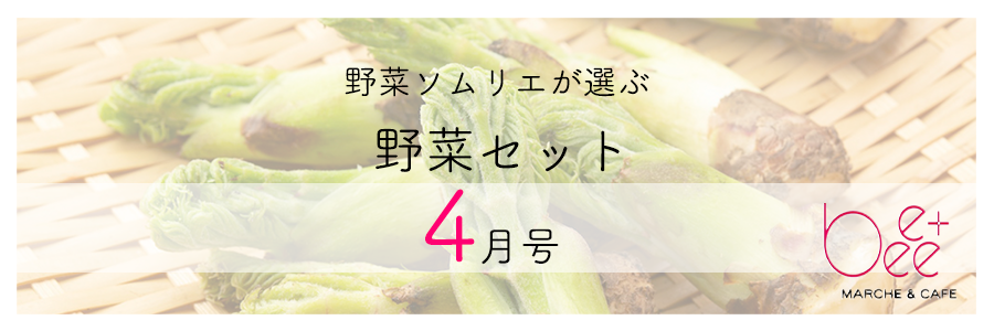 2022年  【4月号】   野菜ソムリエが選ぶ旬の野菜セット