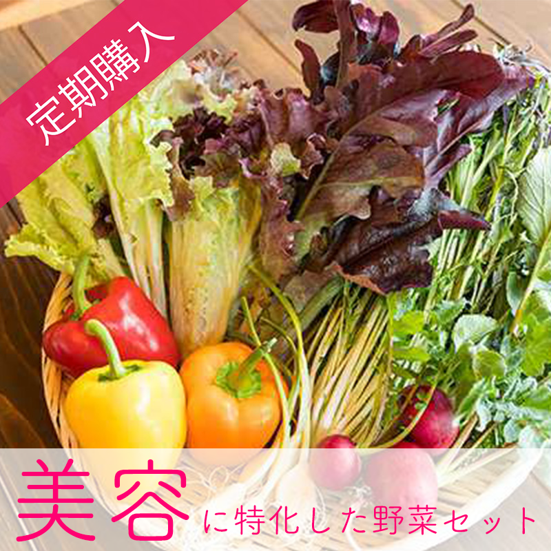 【定期購入】Beee＋野菜ソムリエが選ぶ美容に特化した旬の野菜セット