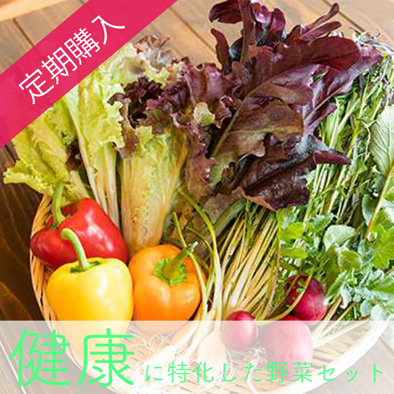 【定期購入】Beee＋野菜ソムリエが選ぶ健康に特化した旬の野菜セット